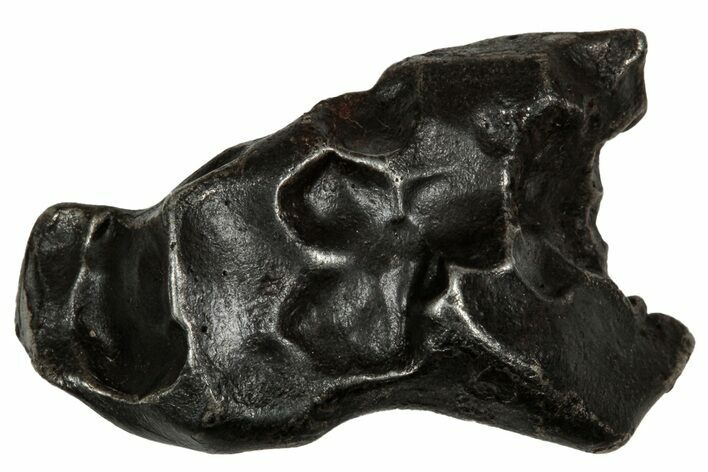 Fusion Crusted Sikhote-Alin Iron Meteorite ( g) - Russia #334577